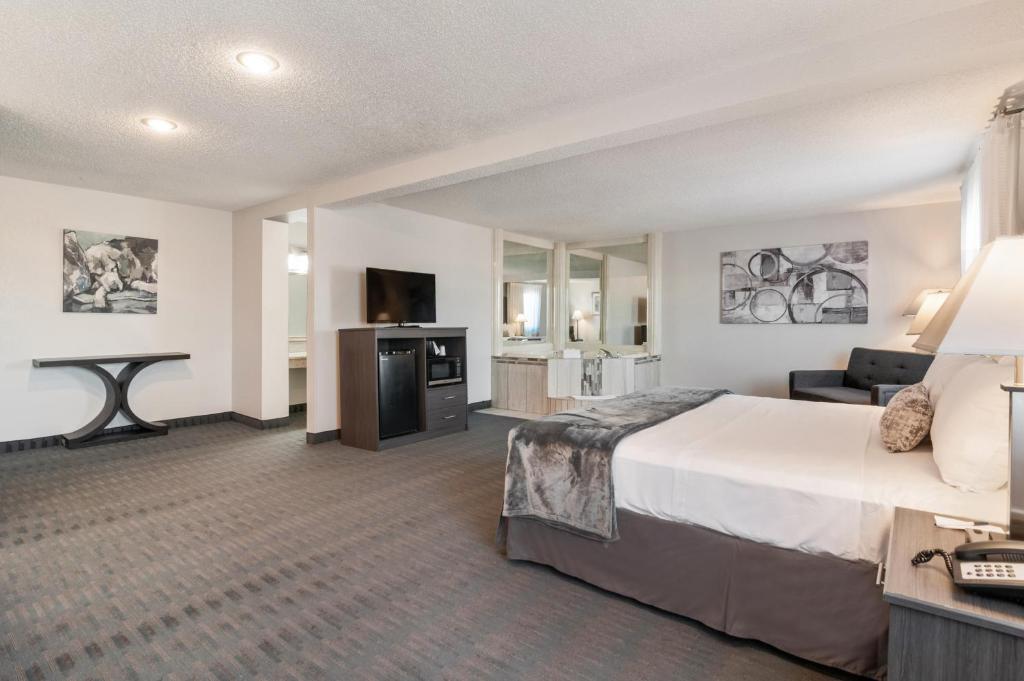 American Inn & Suites Metro Airport photo 2