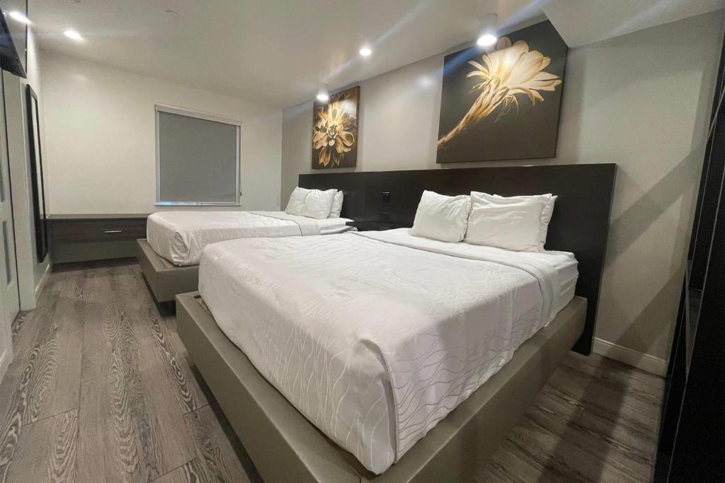 Baymont Inn & Suites by Wyndham Tempe University/Phoenix photo 2