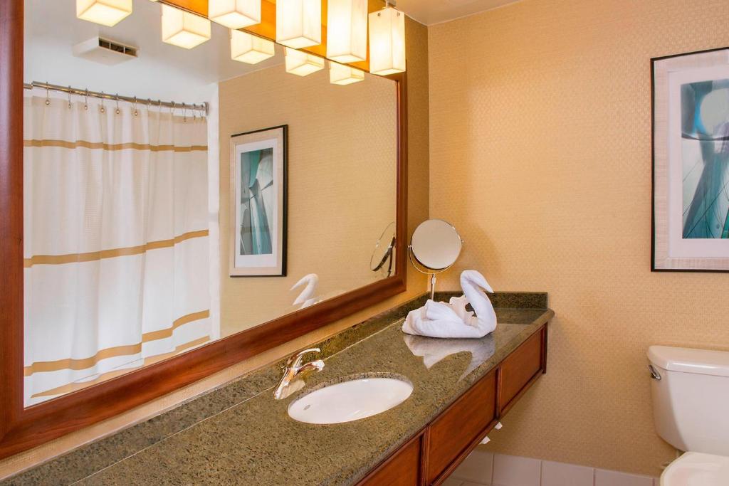 BWI Airport Marriott photo 3