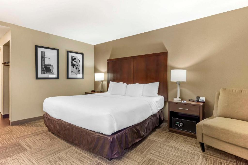 Comfort Inn & Suites Sea-Tac Airport photo 2