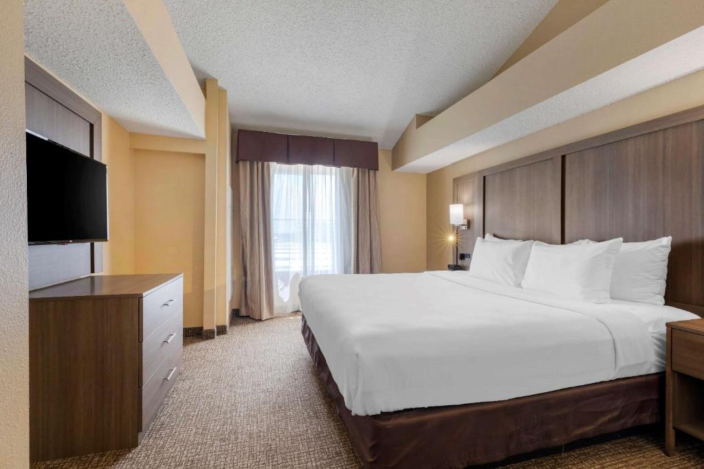 Comfort Suites DFW Airport photo 2