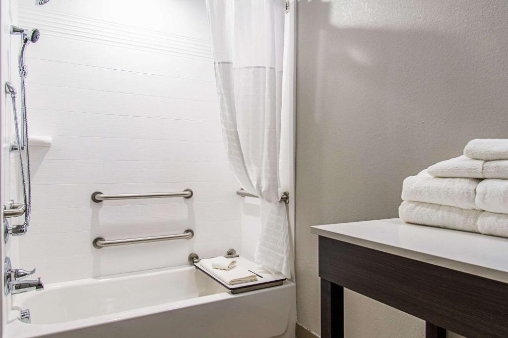Comfort Suites Humble Houston IAH photo 3