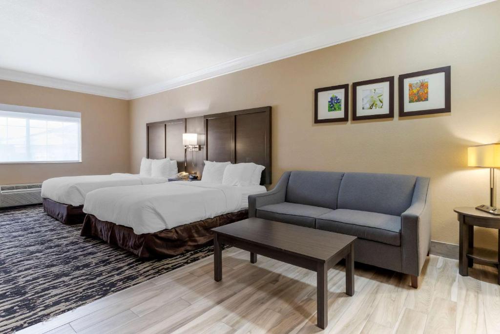Comfort Suites Kingwood, Humble, New Caney, Houston IAH Airport photo 2