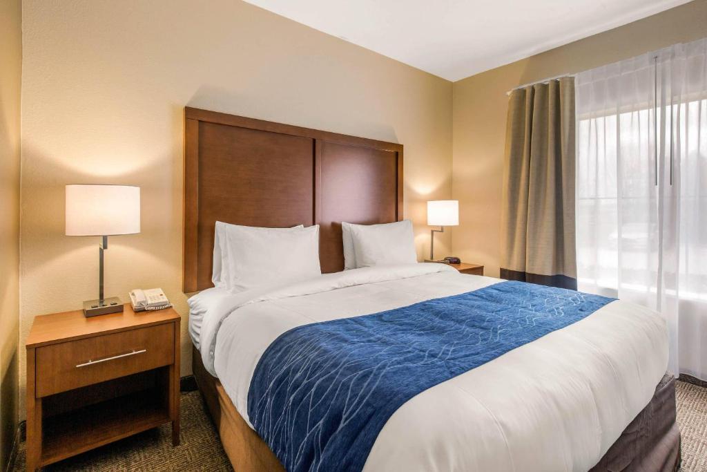 Comfort Suites photo 2