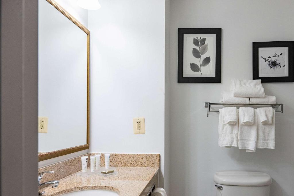 Country Inn & Suites by Radisson, BWI Airport Baltimore , MD photo 3