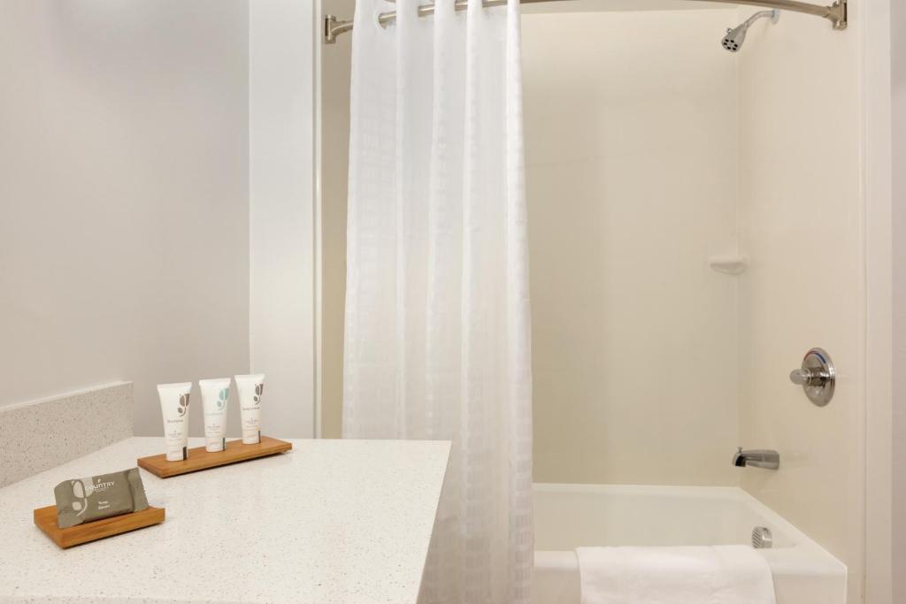 Country Inn & Suites by Radisson, DFW Airport South, TX photo 3