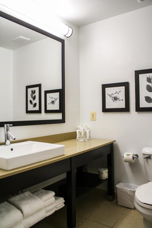 Country Inn & Suites by Radisson, Washington Dulles International Airport, VA photo 3