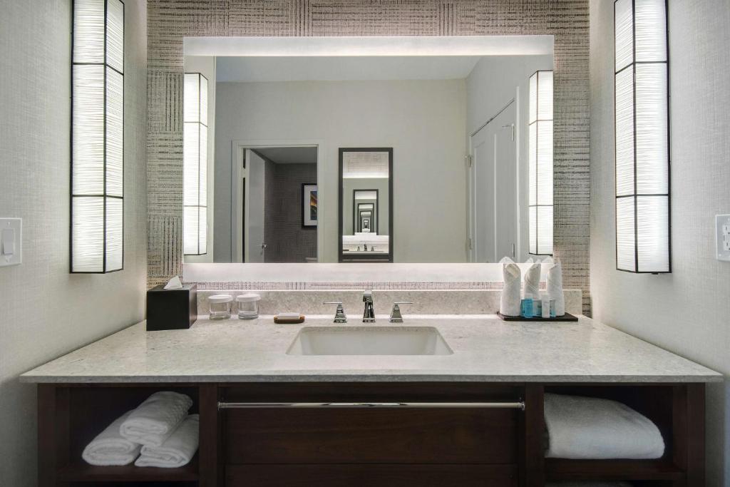 Embassy Suites by Hilton Detroit Metro Airport photo 3