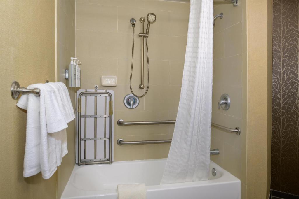 Embassy Suites by Hilton St Louis Airport photo 3