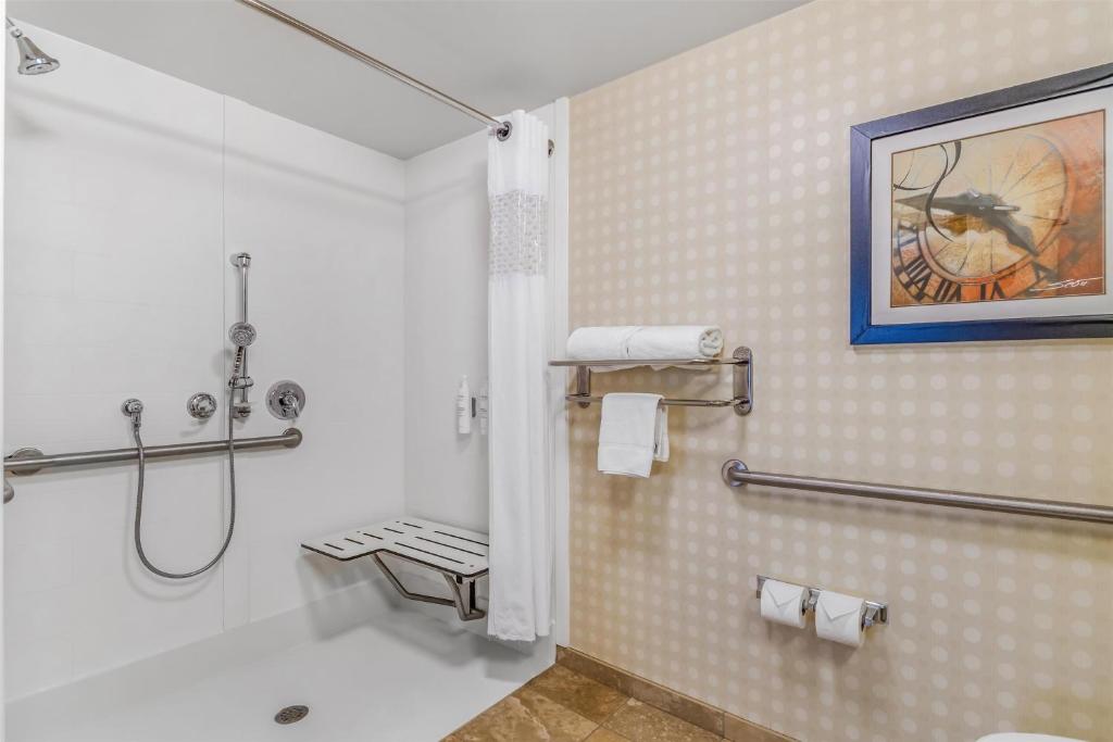 Hampton Inn & Suites Detroit/Airport Romulus photo 3