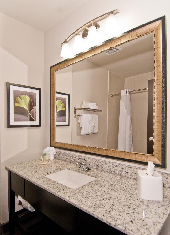 Holiday Inn Austin Airport by IHG photo 3