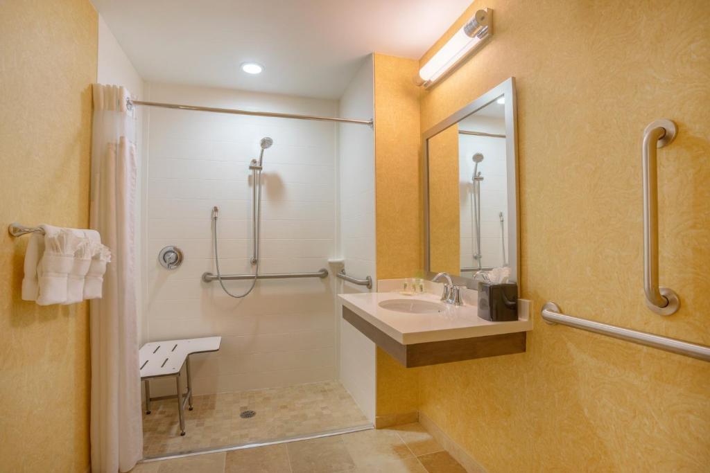 Holiday Inn Baltimore BWI Airport by IHG photo 3