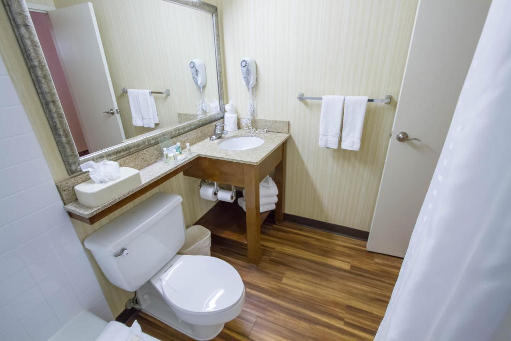 Holiday Inn Blmgtn Arpt South - Mall Area by IHG photo 3