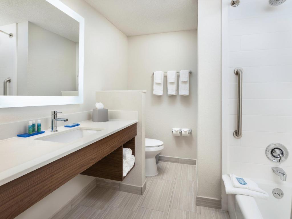 Holiday Inn Express Hotel & Suites Irving DFW Airport North by IHG photo 3