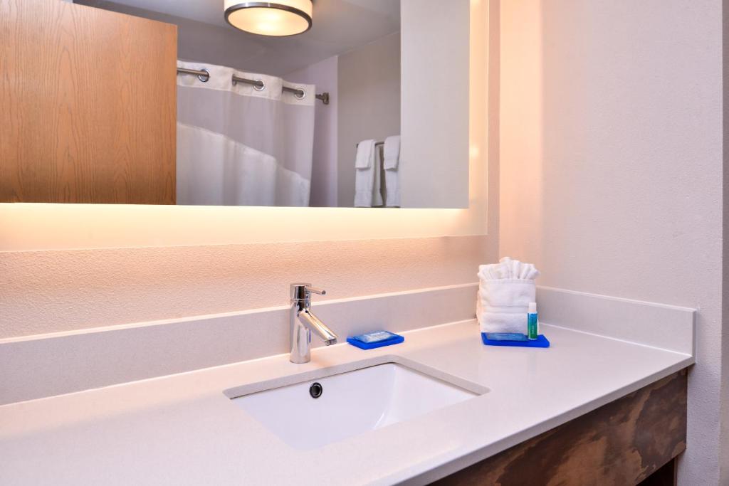 Holiday Inn Express Hotel & Suites Tampa-Anderson Road-Veterans Exp by IHG photo 3