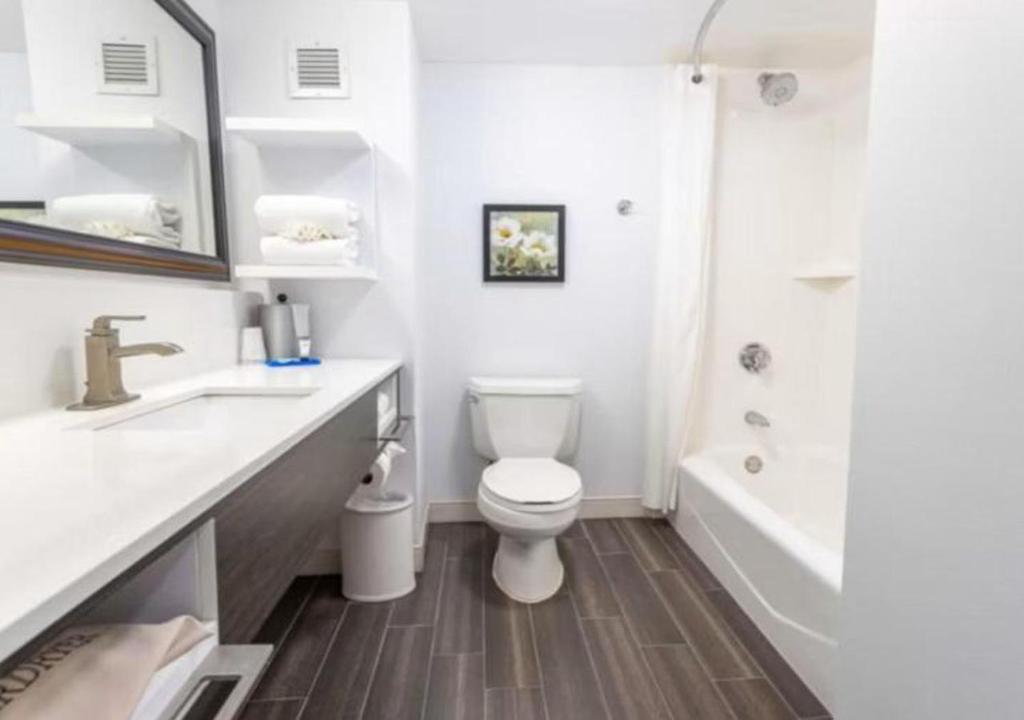 Holiday Inn Express - Newark Airport - Elizabeth by IHG photo 3