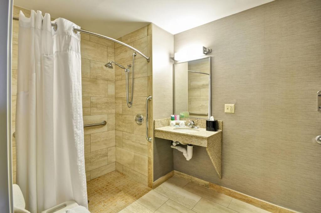 Holiday Inn Express Romulus / Detroit Airport by IHG photo 3