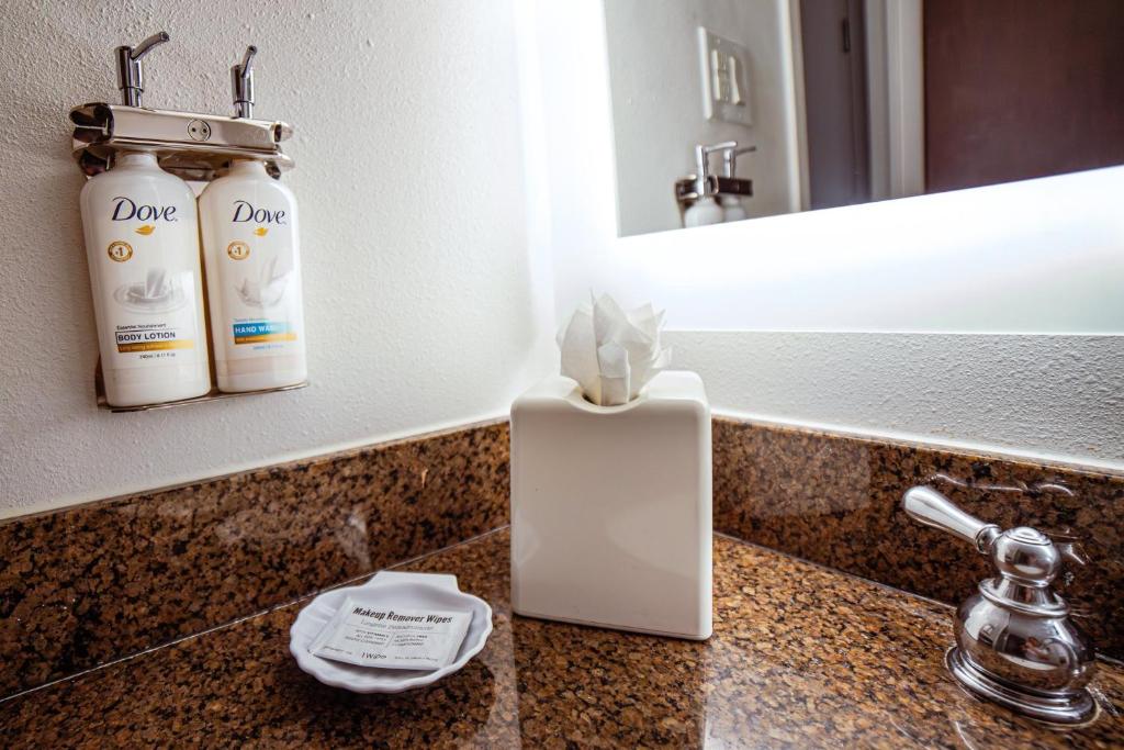 Holiday Inn Irving Las Colinas by IHG photo 3