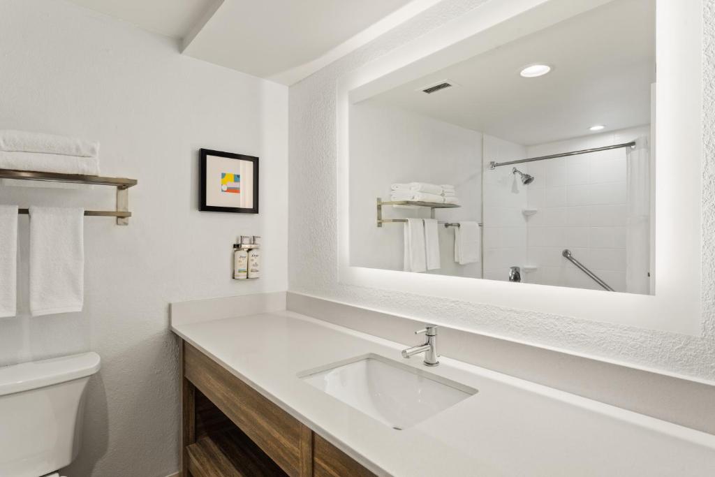 Holiday Inn Tampa Westshore - Airport Area by IHG photo 3