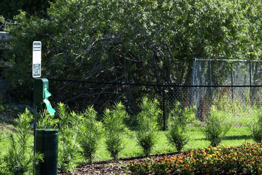 Home2 Suites By Hilton Orlando Airport photo 4