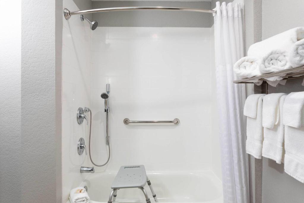 La Quinta by Wyndham Tampa Central photo 3