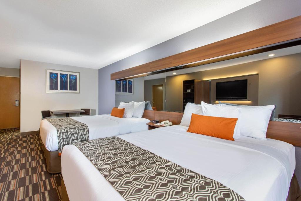 Microtel Inn & Suites by Wyndham Philadelphia Airport photo 2