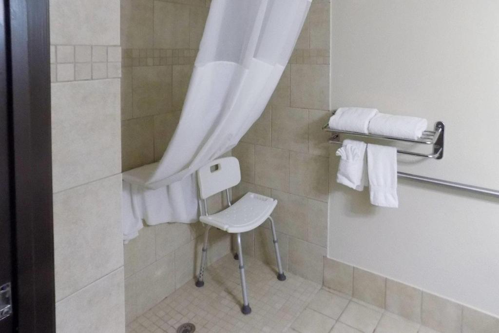 Quality Inn DFW Airport North photo 3