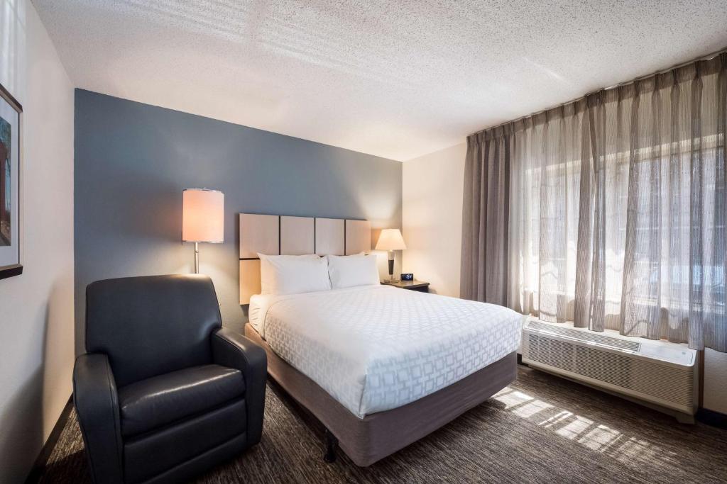 Sonesta Simply Suites Dallas Las Colinas photo 3